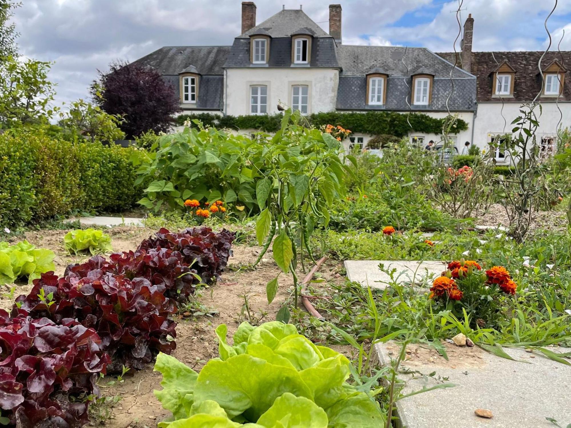 **Suite Familiale Spacieuse Au Coeur De La Foret De Montargis** - Fr-1-590-335 Paucourt Esterno foto